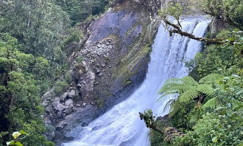 Arcus Dam Track, Wellington