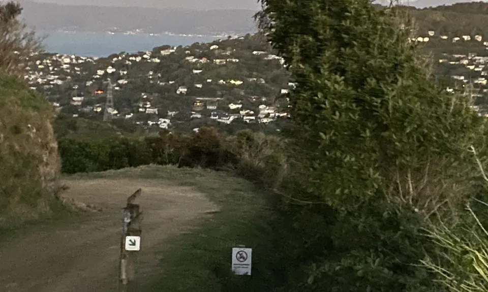 Graveyard Shift, Wellington
