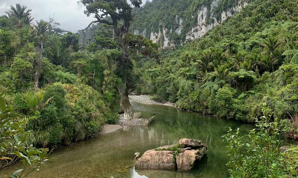 Bullock Creek, West Coast