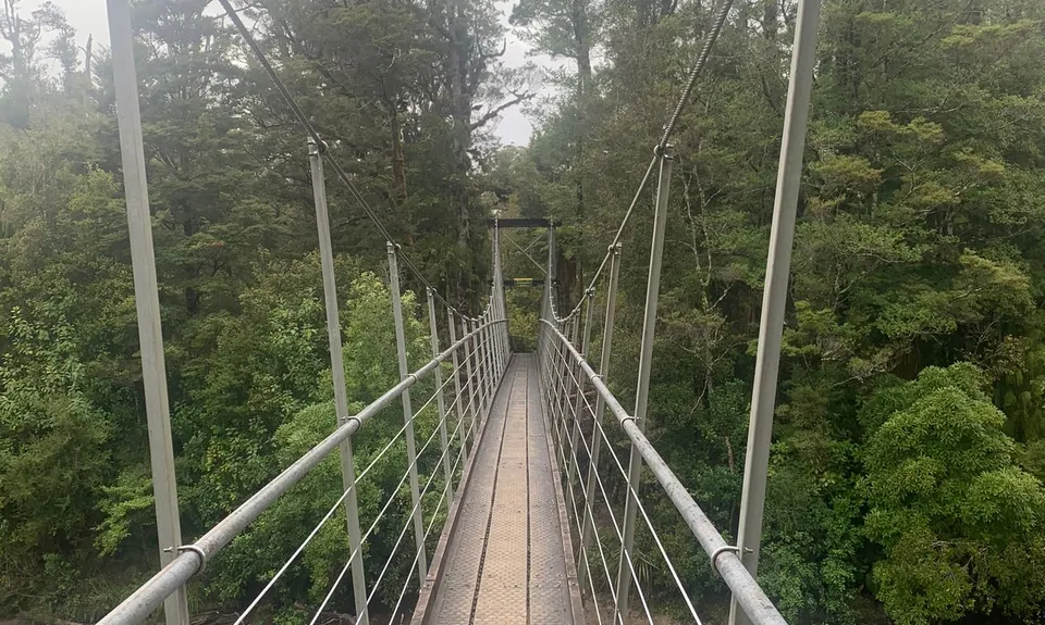 Bullock Creek, West Coast