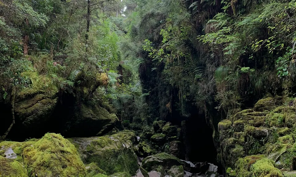 Bullock Creek, West Coast