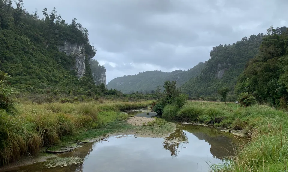 Bullock Creek, West Coast