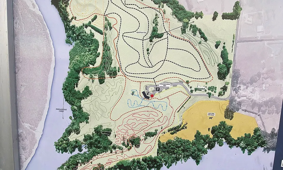 Sanders Reserve, Auckland