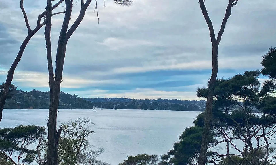 Sanders Reserve, Auckland