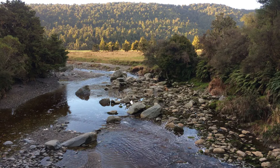 Lake Matheson Meander, West Coast