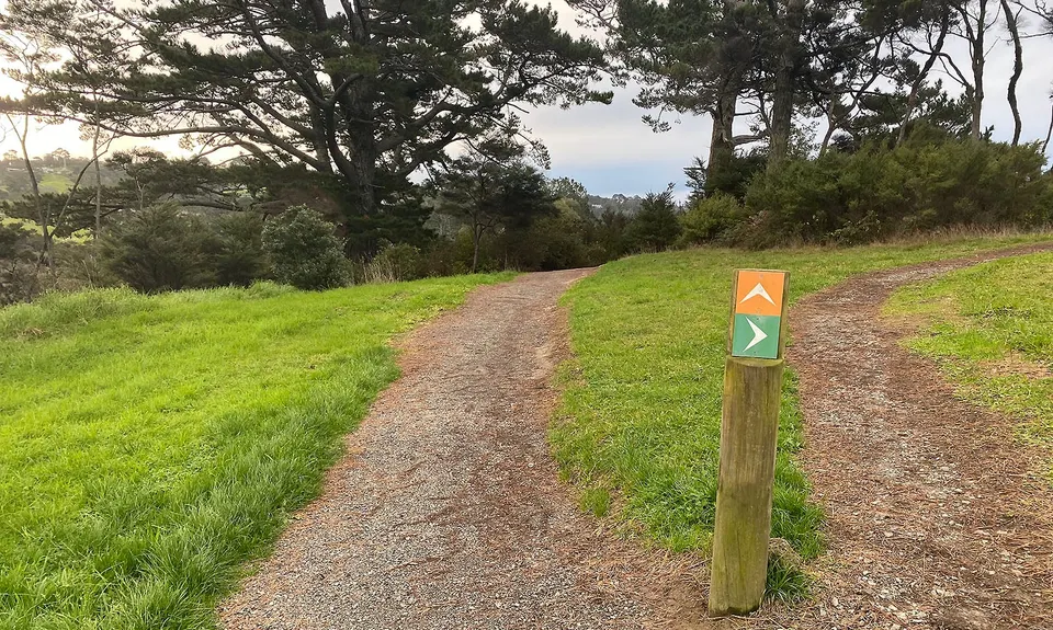 Sanders Reserve, Auckland