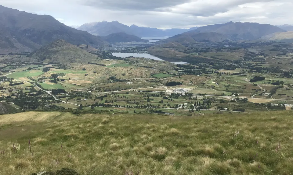 Beat Beetham , Otago