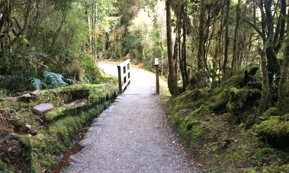 Lake Matheson Meander, West Coast