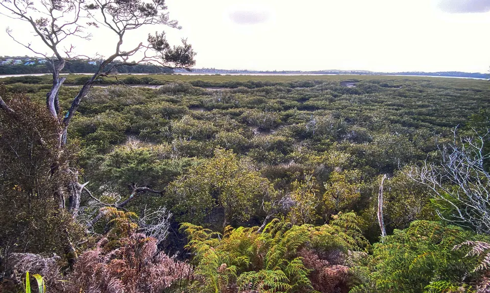 Around the Outside at Te Atatu, Auckland