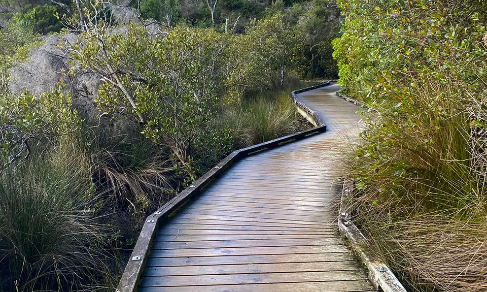 Around the Outside at Te Atatu, Auckland