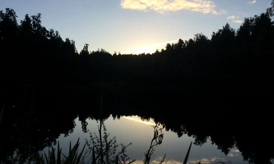 Lake Matheson Meander, West Coast