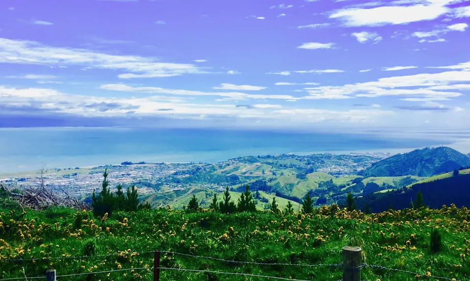 Richmond Hills, Tasman