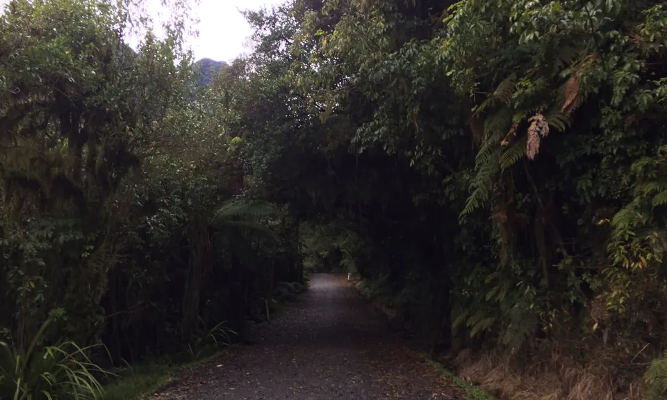 Southern Fox, West Coast