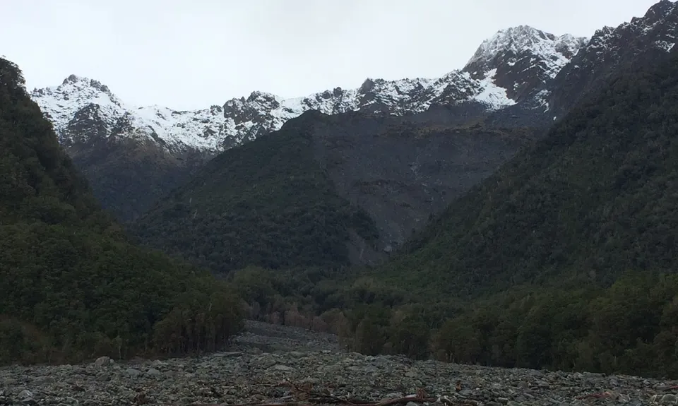 Southern Fox, West Coast