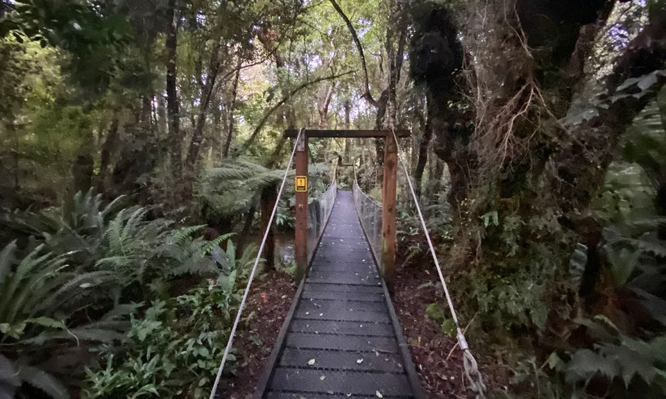 Waipohatu Loop, Southland