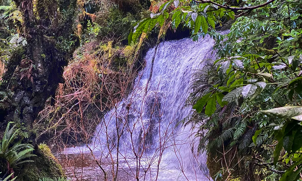 Waipohatu Loop, Southland