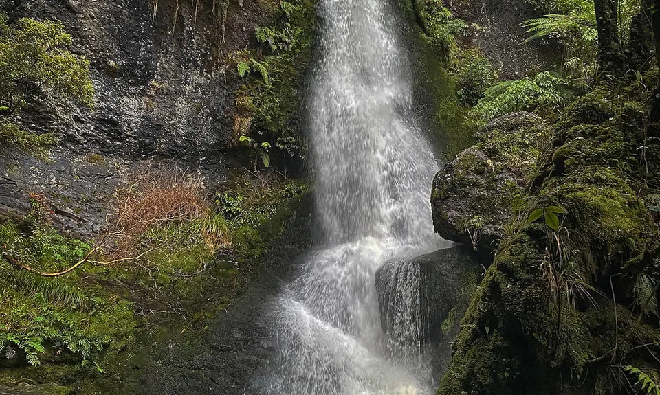 Waipohatu Loop, Southland