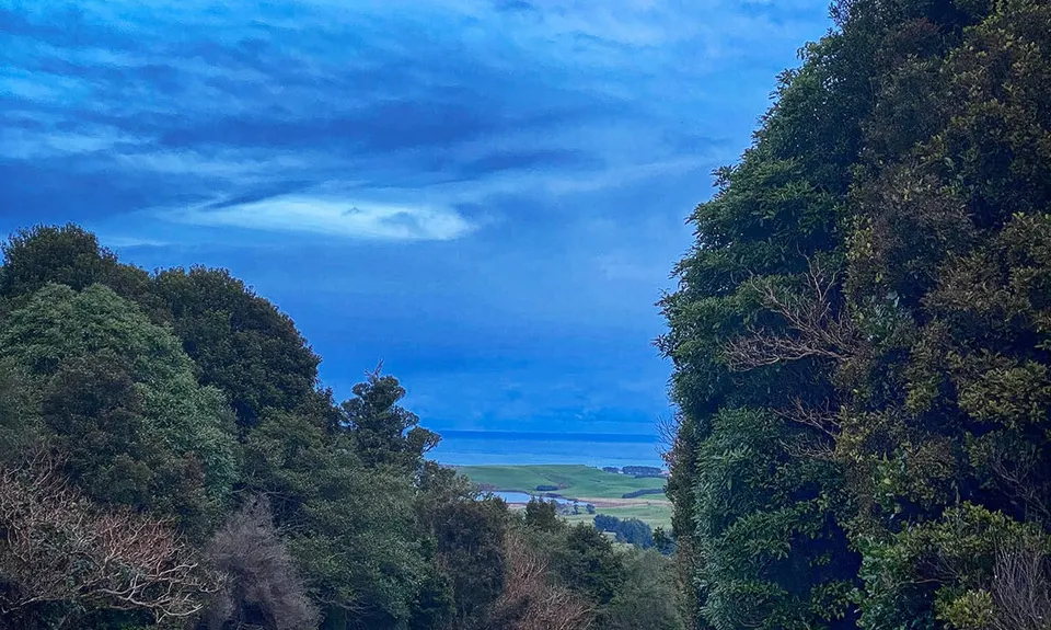 Waipohatu Loop, Southland