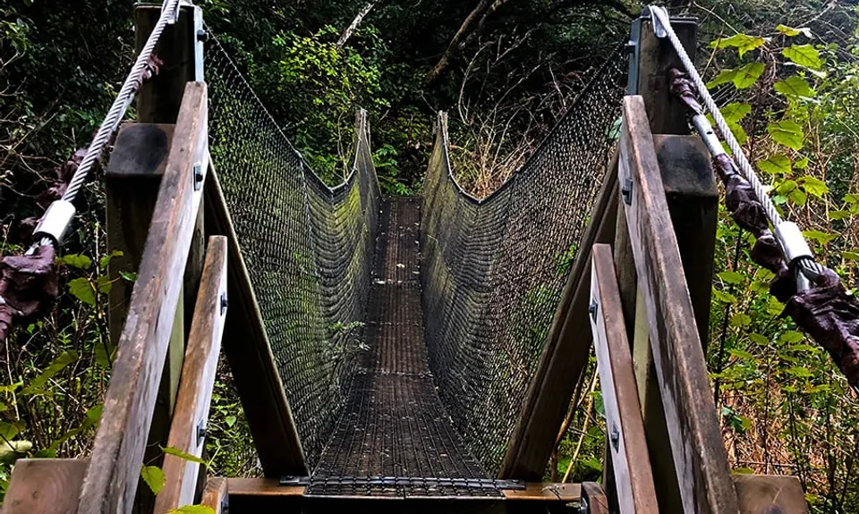 Mt Fyffe Walkway, Canterbury