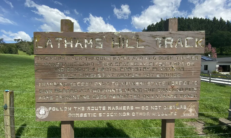 Latham's Hill Track, Bay of Plenty