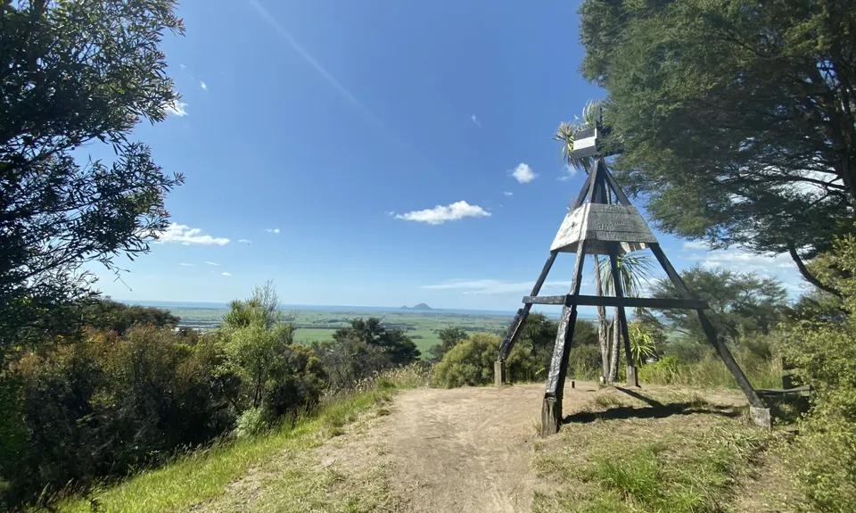 Latham's Hill Track, Bay of Plenty
