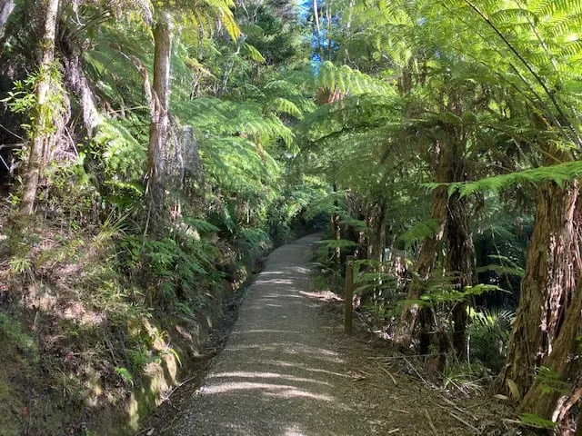 Karamatura Loop, Auckland