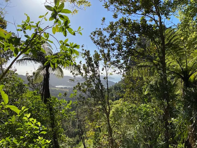 Karamatura Loop, Auckland