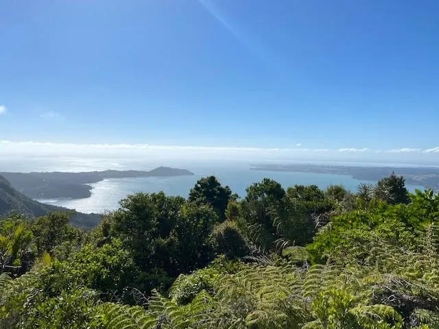 Karamatura Loop, Auckland