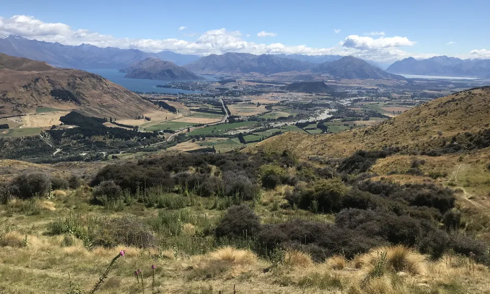 Little Criffel from the Larches, Otago
