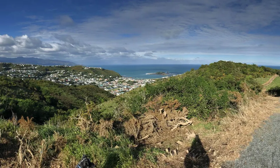 Tawatawa Trails, Wellington