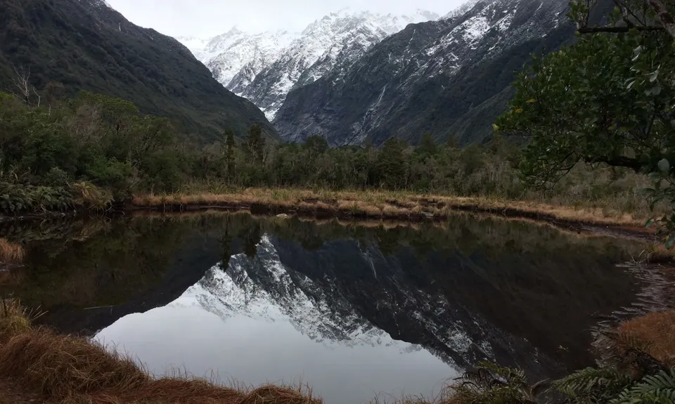 Franz Frolic , West Coast