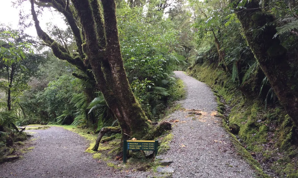 Franz Frolic , West Coast