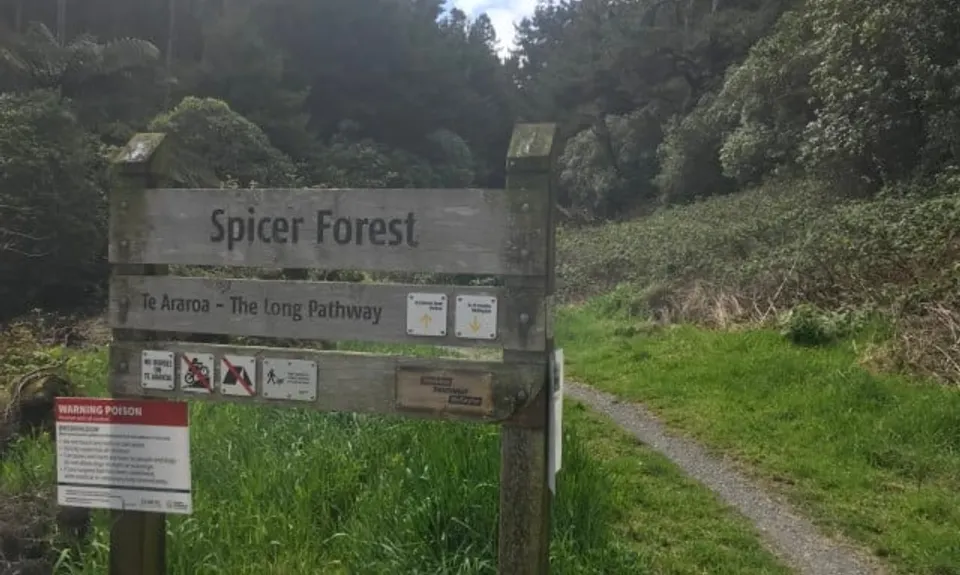 A Touch of Spicer, Wellington