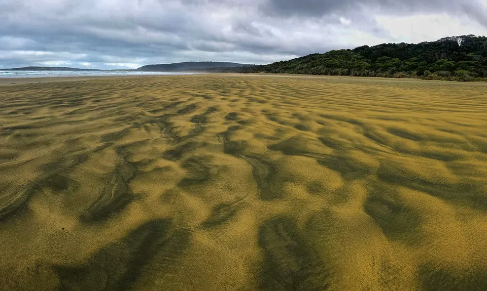 Tautuku Tiki Tour, Otago