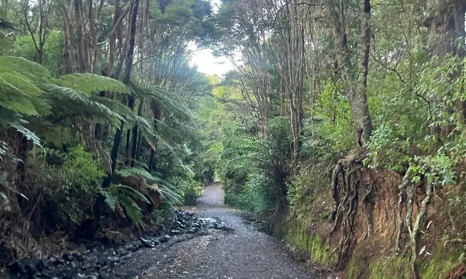Totara Park Track, Auckland
