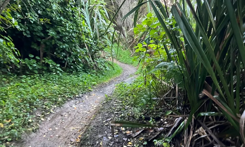 Totara Park Track, Auckland