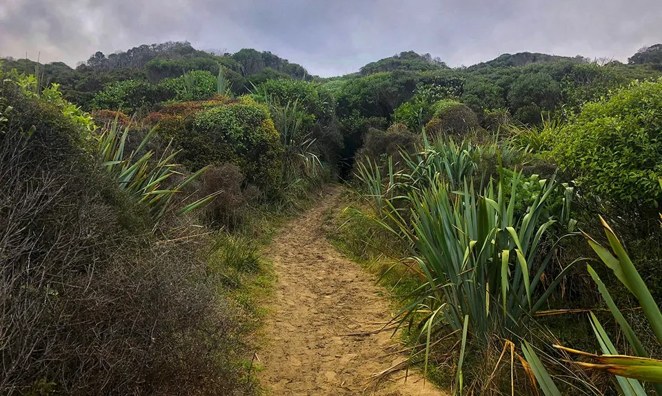 Tautuku Tiki Tour, Otago