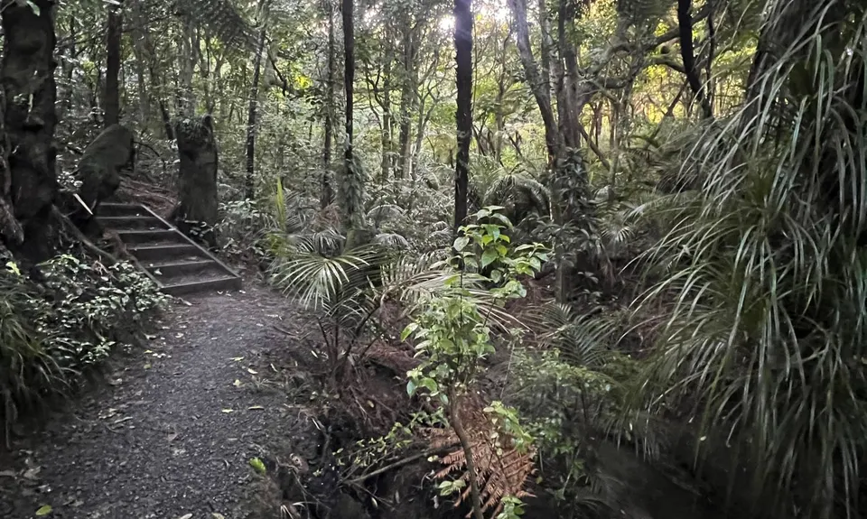 Totara Park Track, Auckland