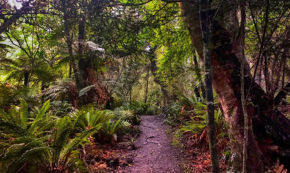 Tautuku Tiki Tour, Otago