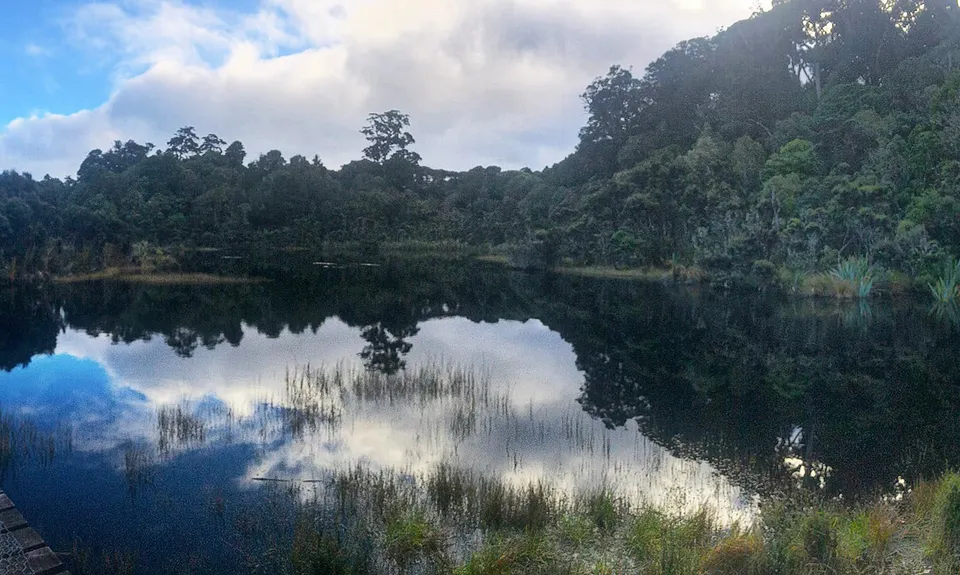 Tautuku Tiki Tour, Otago