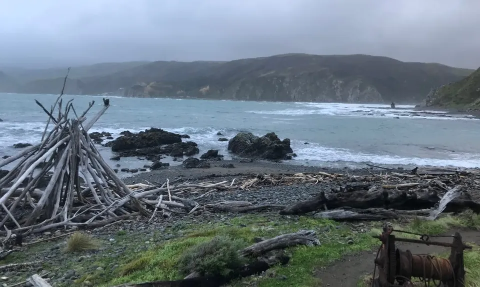 Makara Walkway, Wellington