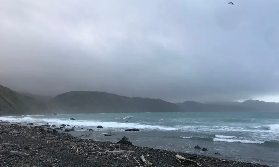 Makara Walkway, Wellington