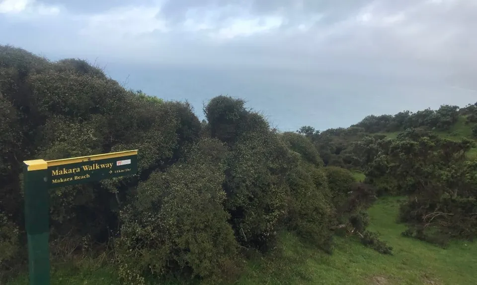 Makara Walkway, Wellington