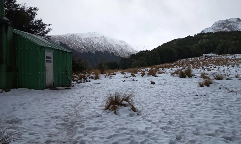 In and out of the Avoca, Canterbury