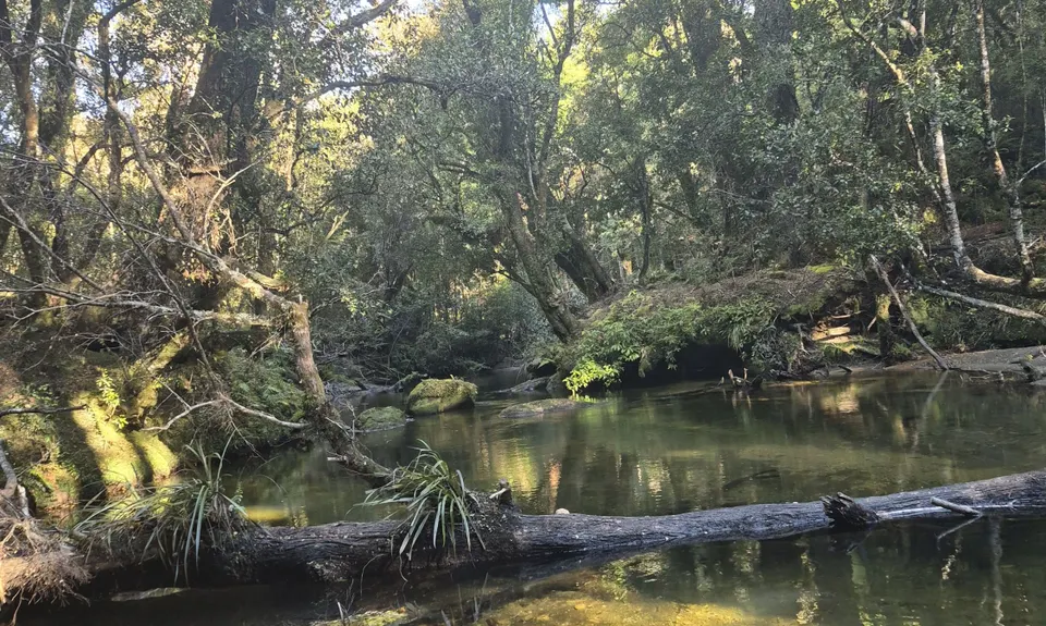 Into Cascade, Waikato