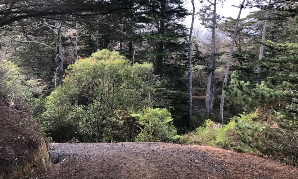 Whitford Coastal Trail Loop , Auckland