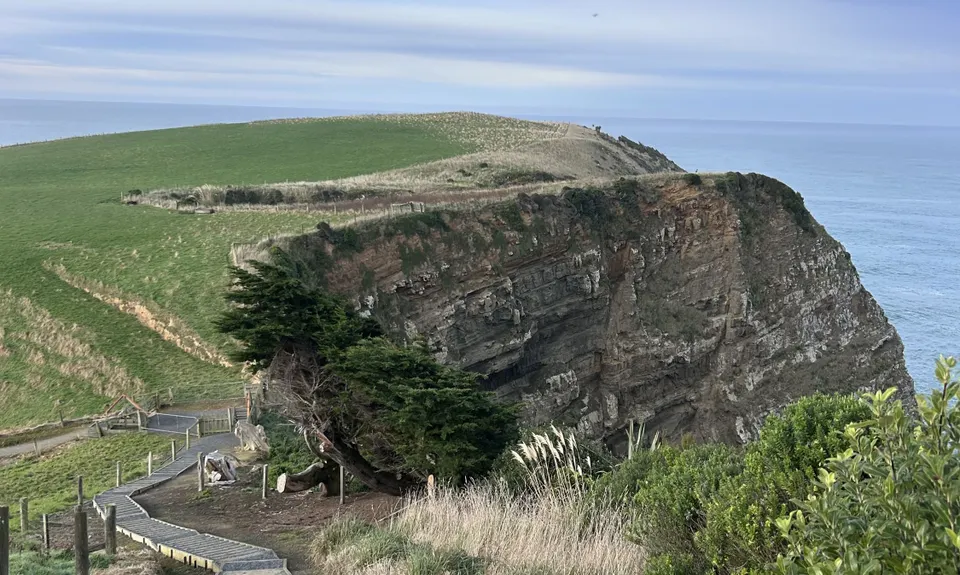 Jack's Bay Beach & Blowhole, Otago