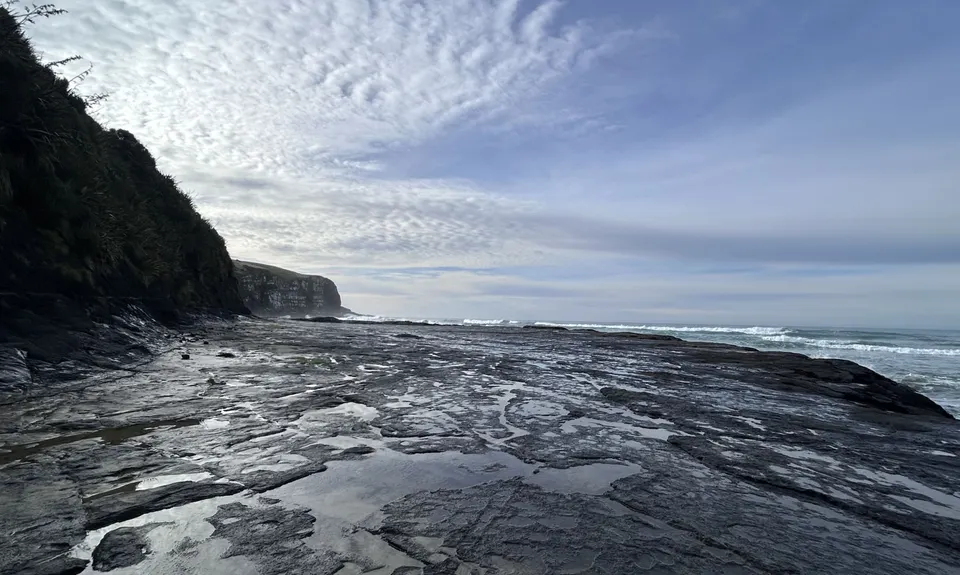 Jack's Bay Beach & Blowhole, Otago