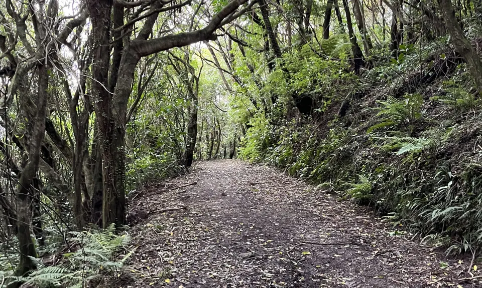 Johnston Hill Loop, Wellington