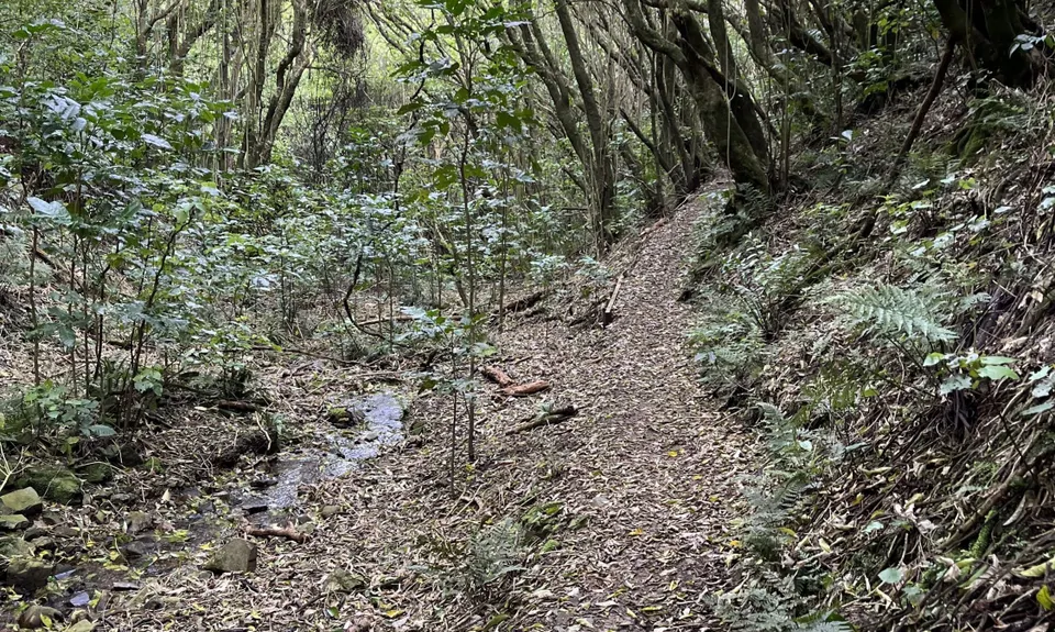 Johnston Hill Loop, Wellington